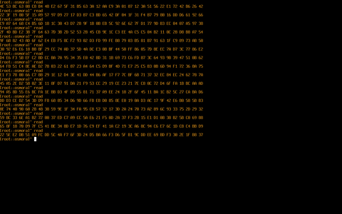 rng.png